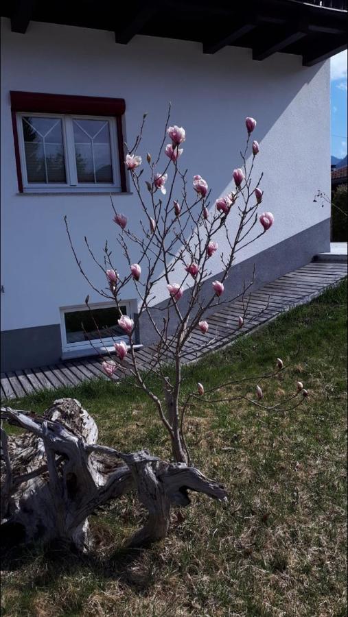 Apartment Schöll